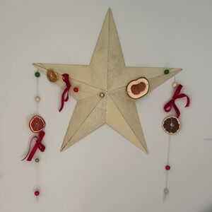 Dried Fruit Garland 🎀 🍊 🍋